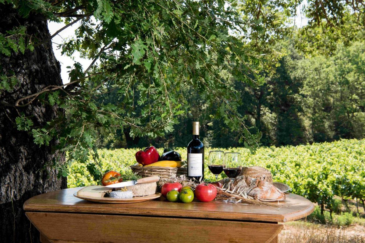 Brue-Auriac Bastide De Fave Bed & Breakfast エクステリア 写真